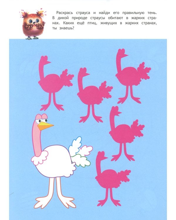 Память, внимание, мышление: книжка с наклейками. 5-6 лет