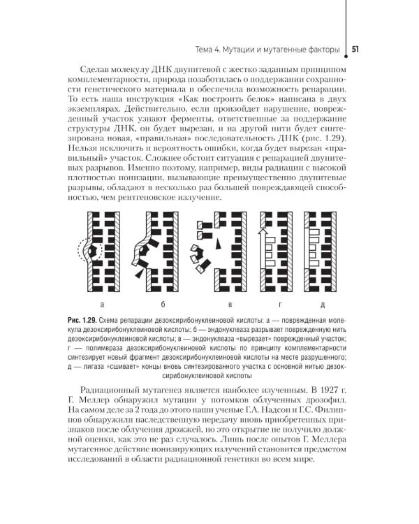 Генетика человека с основами медицинской генетики: Учебник. 4-е изд., перераб. и доп