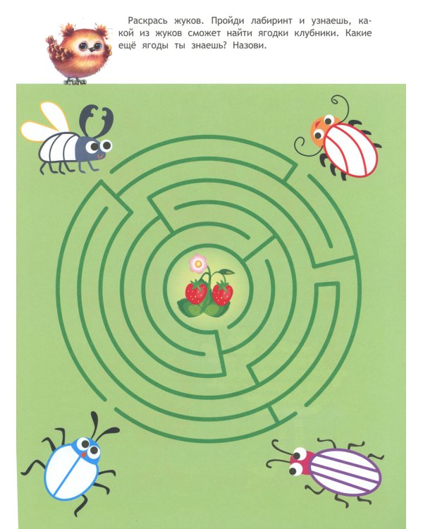 Память, внимание, мышление: книжка с наклейками. 5-6 лет