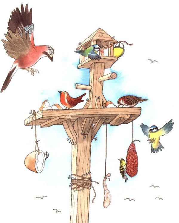 My Grandma is Wonderful