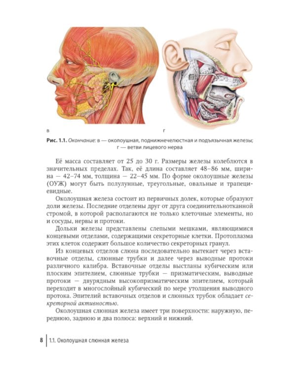 Слюннокаменная болезнь - сиалолитиаз: руководство для врачей