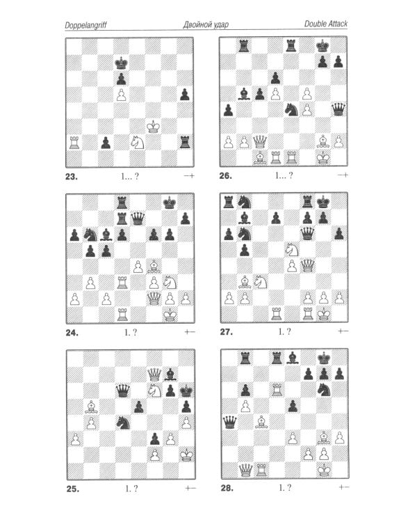 Шахматы. Практикум по тактике