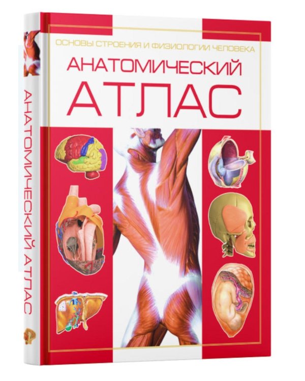 Анатомический атлас