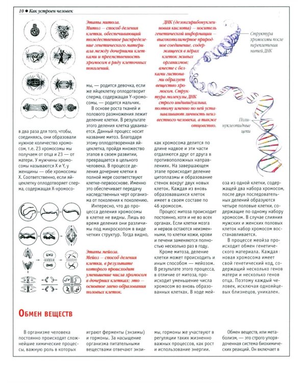 Анатомический атлас