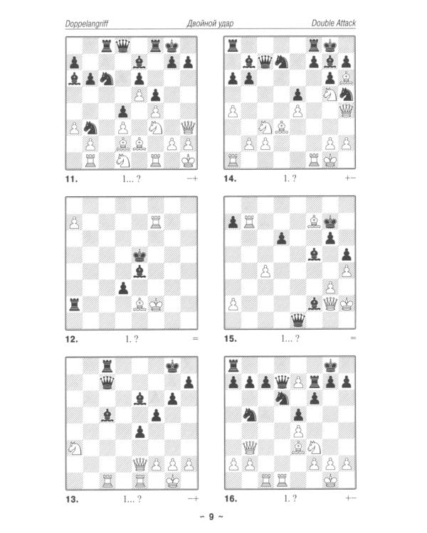 Шахматы. Практикум по тактике