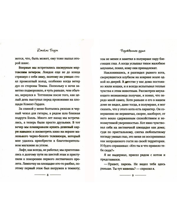 Уличный кот по имени Боб. Как человек и кот обрели надежду на улицах Лондона