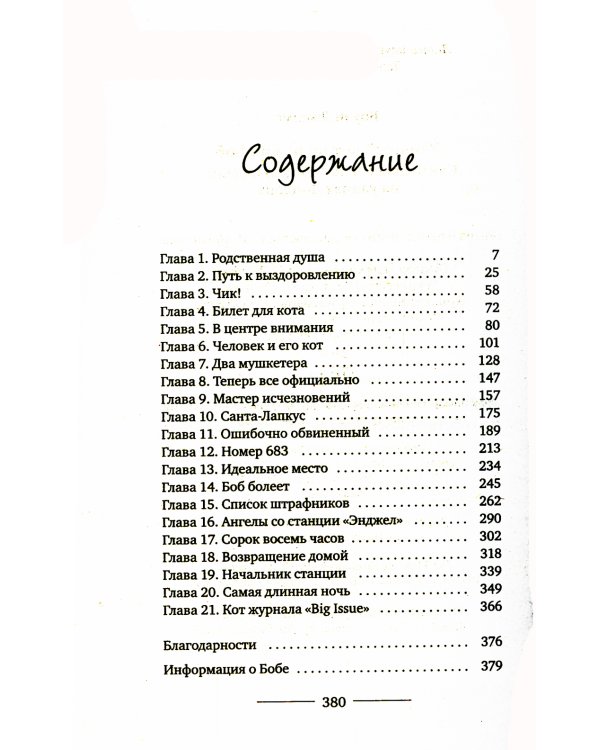 Уличный кот по имени Боб. Как человек и кот обрели надежду на улицах Лондона