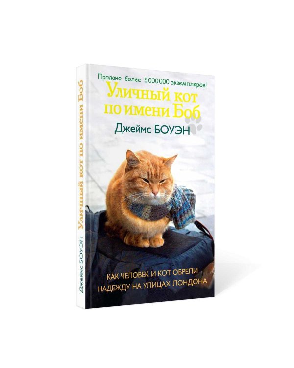 Уличный кот по имени Боб. Как человек и кот обрели надежду на улицах Лондона