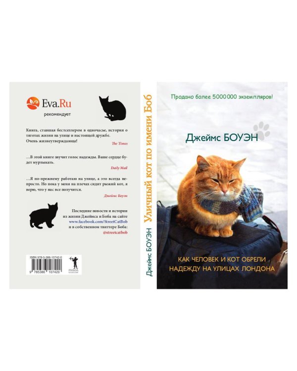 Уличный кот по имени Боб. Как человек и кот обрели надежду на улицах Лондона
