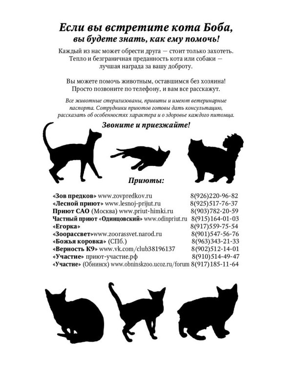 Уличный кот по имени Боб. Как человек и кот обрели надежду на улицах Лондона