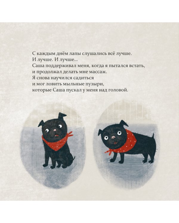 Марсель встает на лапы: cказка