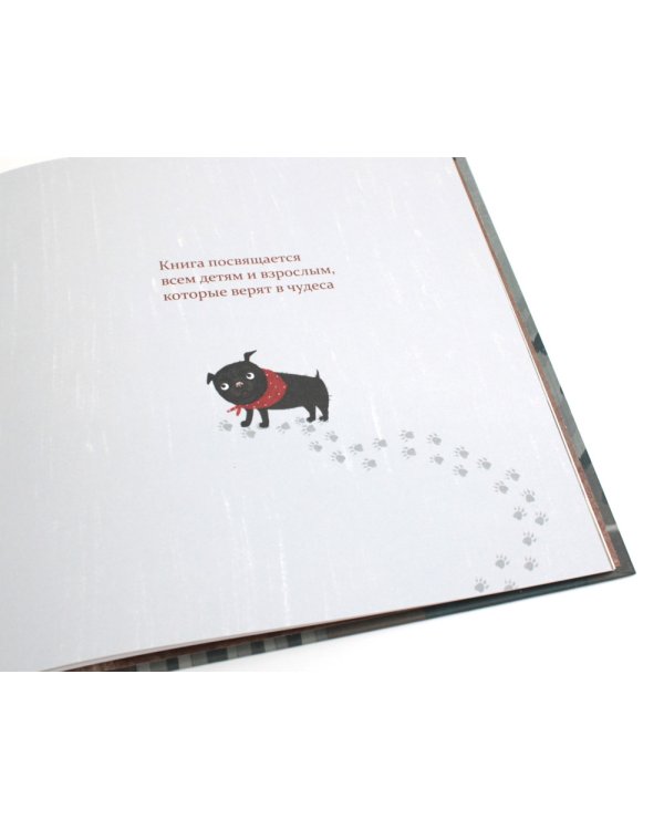 Марсель встает на лапы: cказка