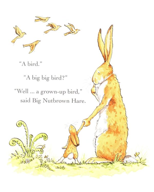 Guess How Much I Love You in the Spring