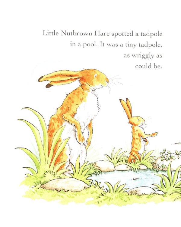 Guess How Much I Love You in the Spring