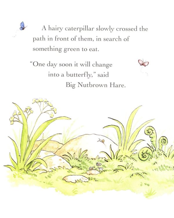 Guess How Much I Love You in the Spring