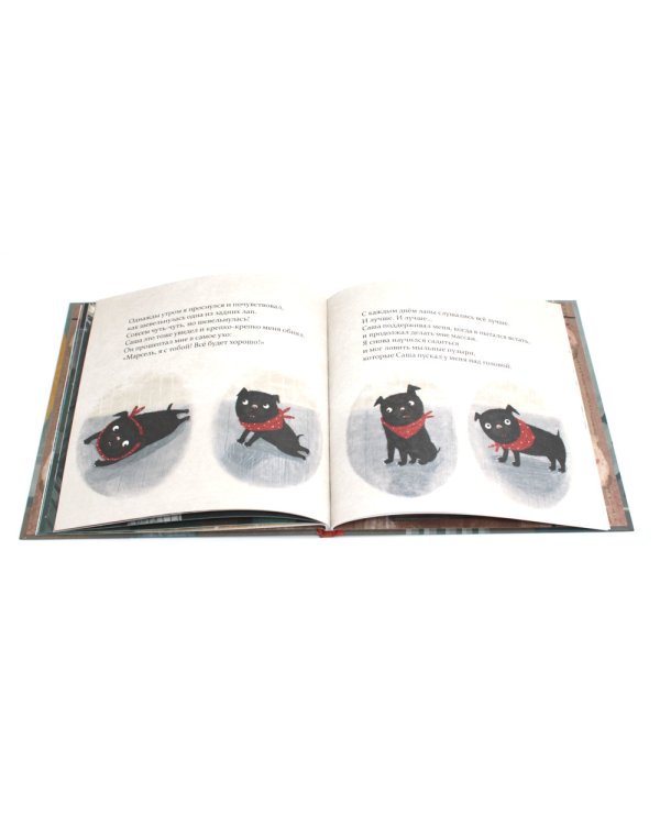 Марсель встает на лапы: cказка