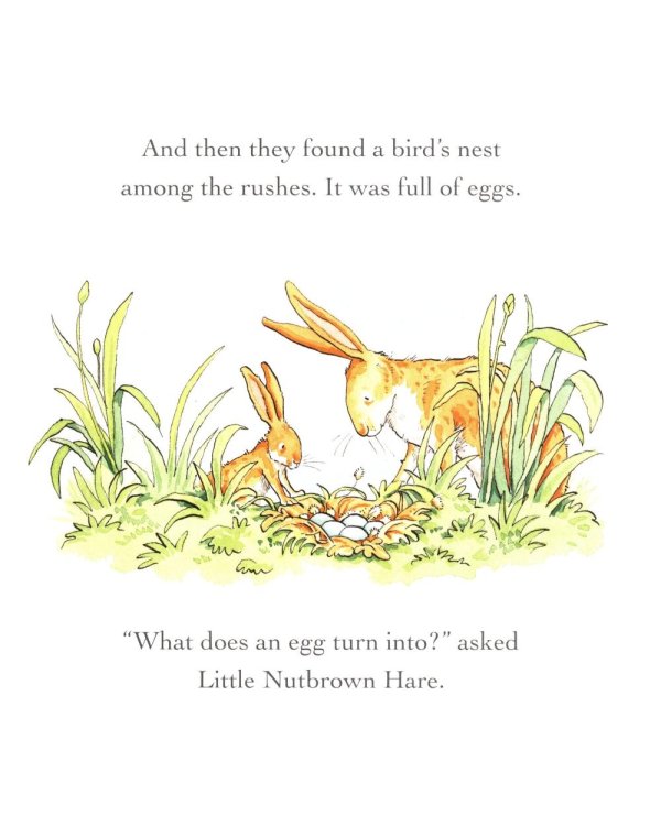 Guess How Much I Love You in the Spring