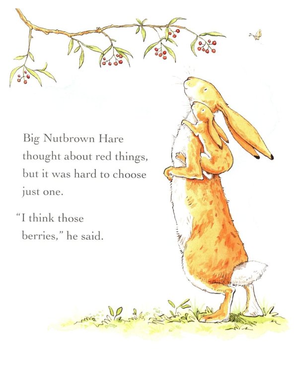 Guess How Much I Love You in the Summer