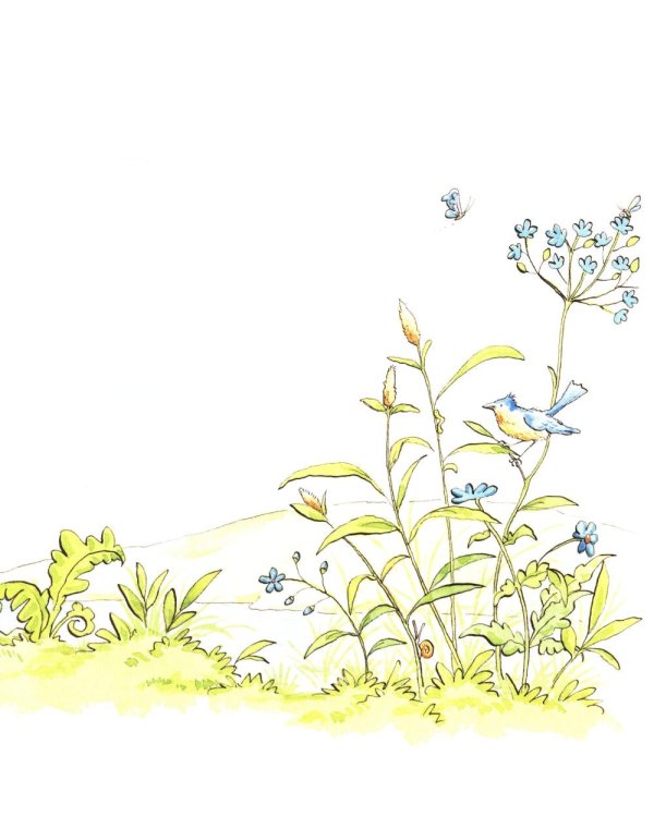 Guess How Much I Love You in the Summer