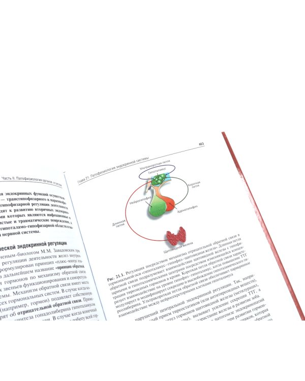 Патофизиология: Учебник. В 2 т. Т. 2. 5-е изд., перераб. и доп