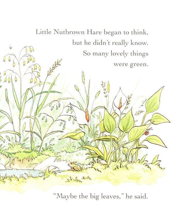 Guess How Much I Love You in the Summer