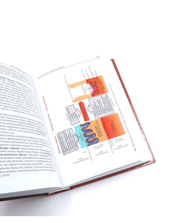 Патофизиология: Учебник. В 2 т. Т. 2. 5-е изд., перераб. и доп