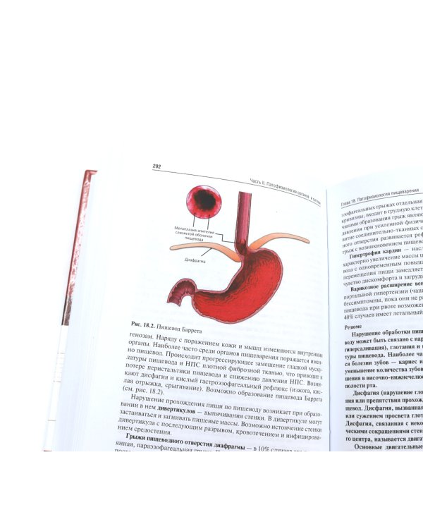 Патофизиология: Учебник. В 2 т. Т. 2. 5-е изд., перераб. и доп