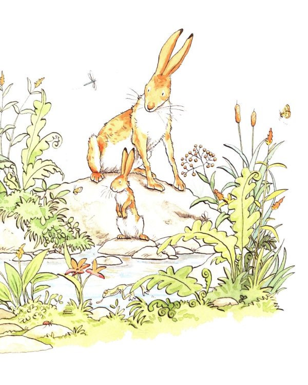 Guess How Much I Love You in the Summer