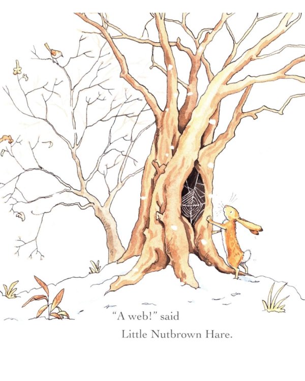 Guess How Much I Love You in the Winter