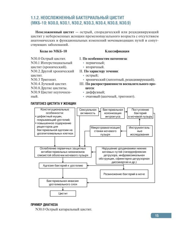 Тактика врача-уролога: практическое руководство