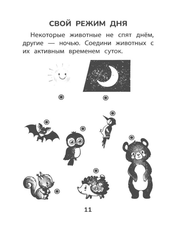 Прятки с природой: готовимся к школе