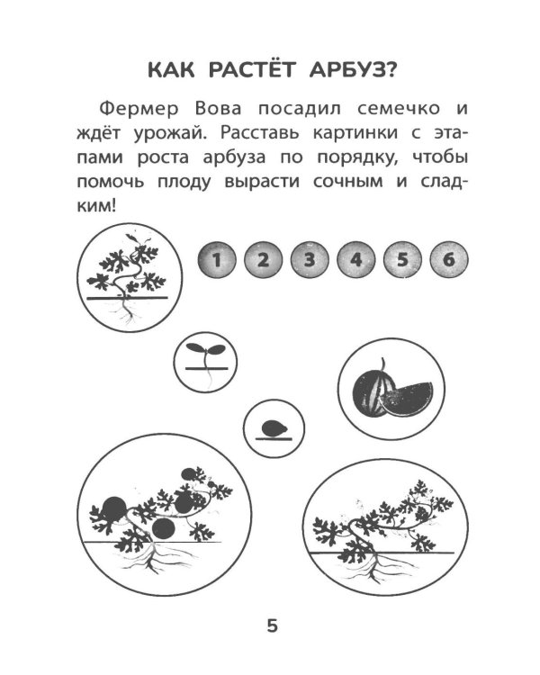 Прятки с природой: готовимся к школе