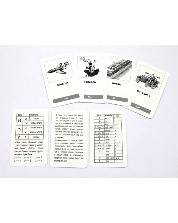 Мои первые слова на иврите. 333 карточки для запоминания. Тематические карточки