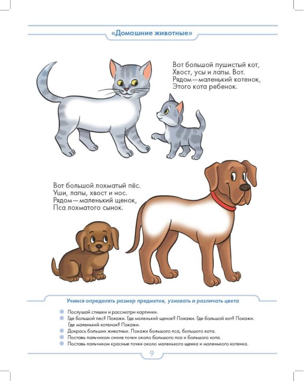 Занимаюсь с воспитателем. Развитие предматематических представлений у детей раннего дошкольного возраста (с 2 до 3 лет). Рабочая тетрадь