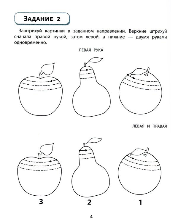 Правая, левая, вместе! Межполушарное взаимодействие