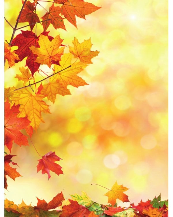 Природа. Большая энциклопедия для маленьких