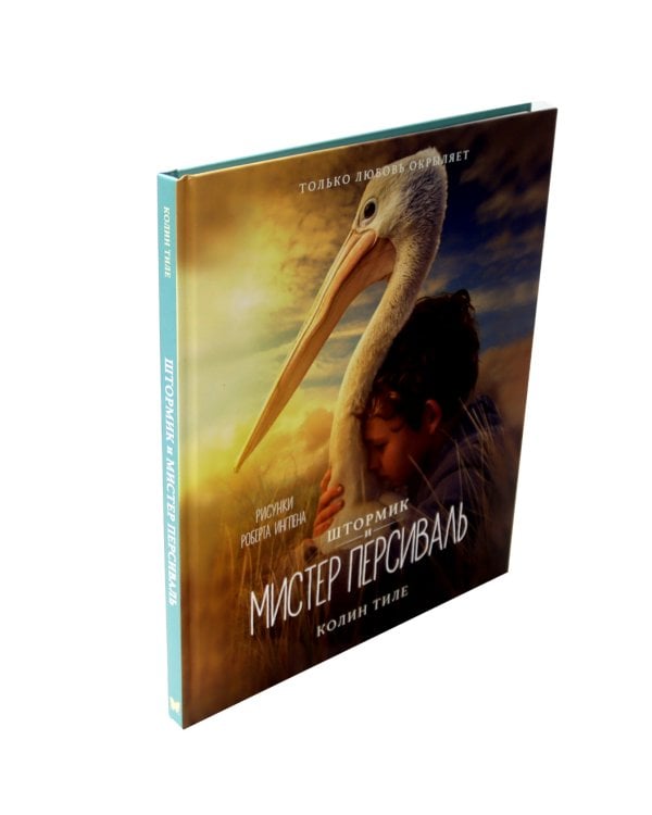 Штормик и мистер Персиваль: повесть