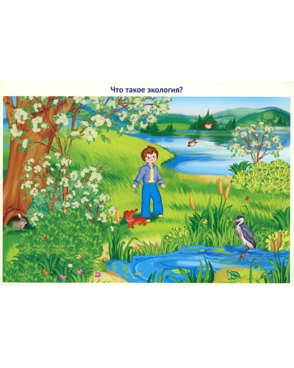 Россия - родина моя. Экология России (10 демонстрационных картинок с беседами в папке)