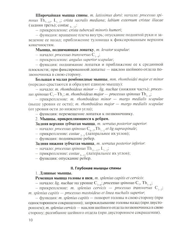 Анатомия мышечной системы (мышцы, фасции и топография): Учебное пособие. 16-е изд., перераб. и доп