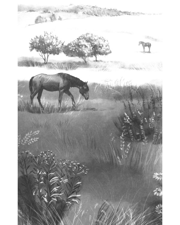 Галопом навстречу. 2-е изд