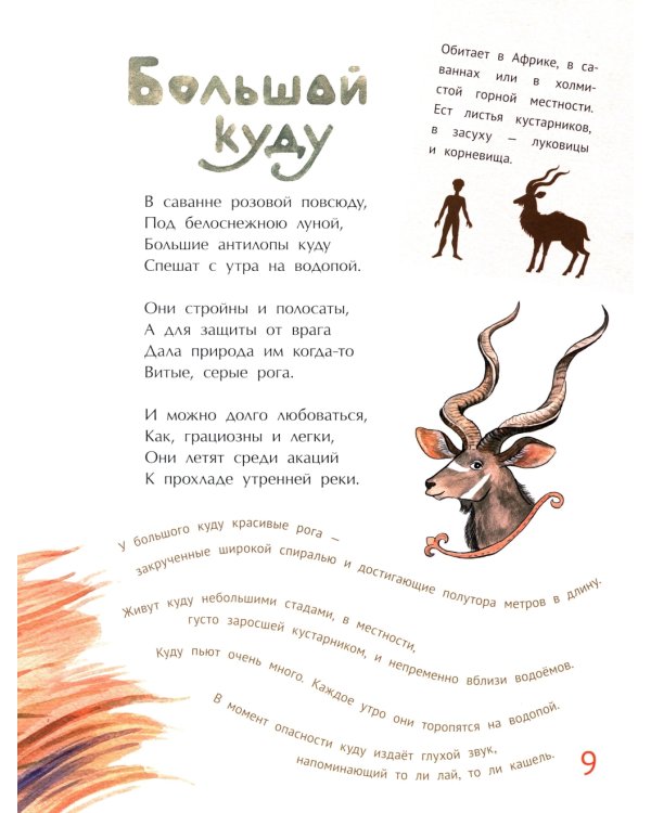 Удивительные звери