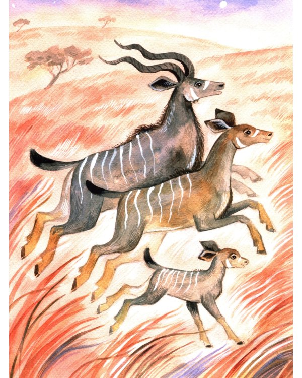 Удивительные звери