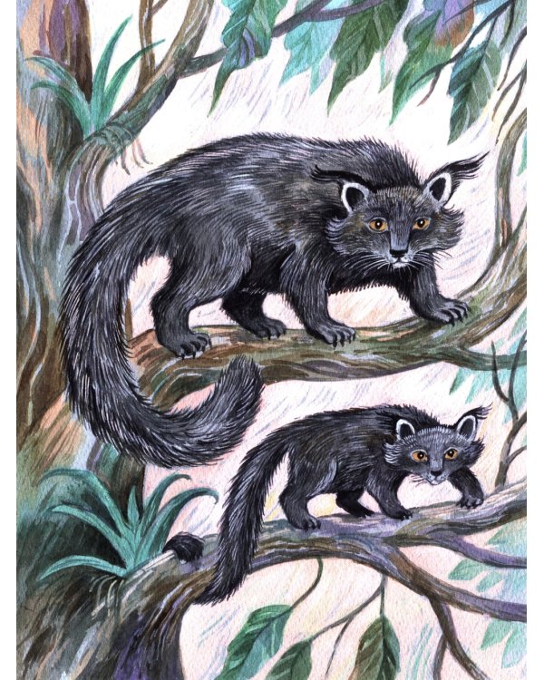 Удивительные звери