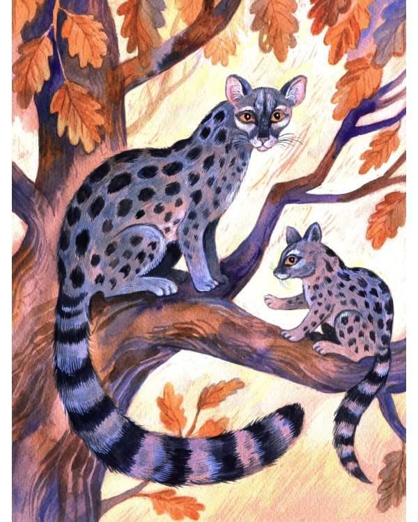 Удивительные звери