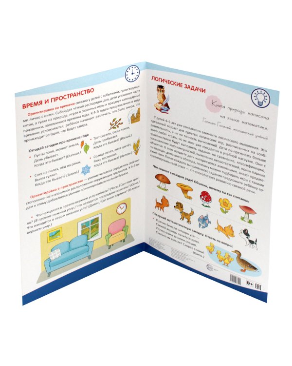 Математическое развитие детей 4-5 лет. Ширмочка информационная