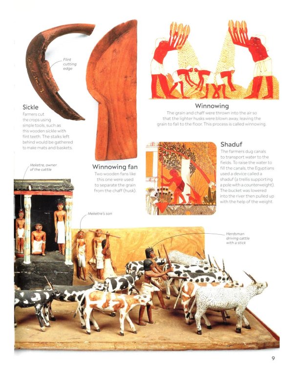 Eyewitness - Ancient Egypt