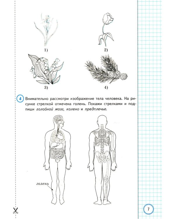 ВПР. Окружающий мир. 4 кл. 10 вариантов. Типовые задания. ФГОС