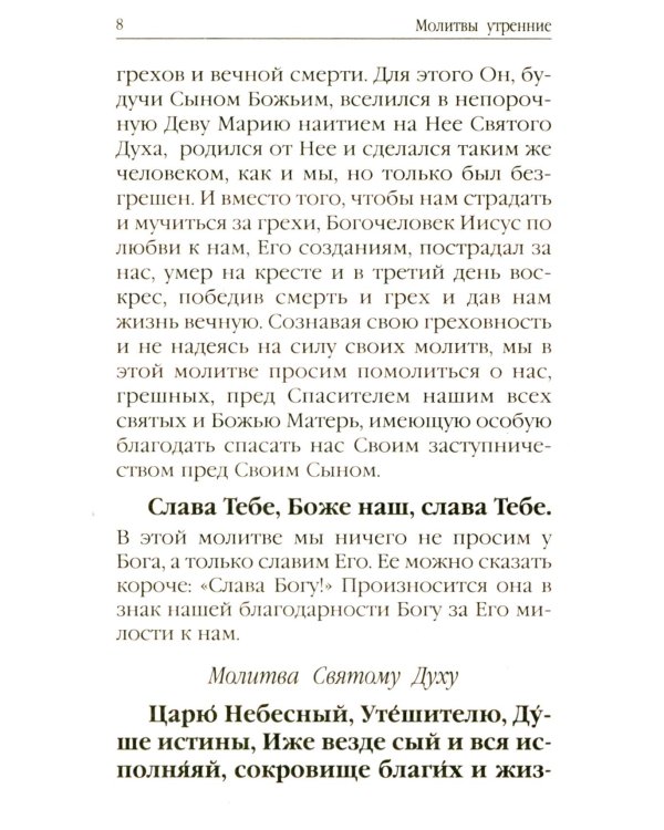 Молитвослов для новоначальных. Перевод и объяснение утренних и вечерних молтв, канонов и правила ко Святому Причащению
