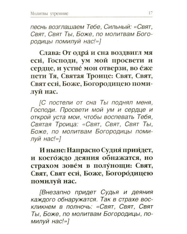 Молитвослов для новоначальных. Перевод и объяснение утренних и вечерних молтв, канонов и правила ко Святому Причащению