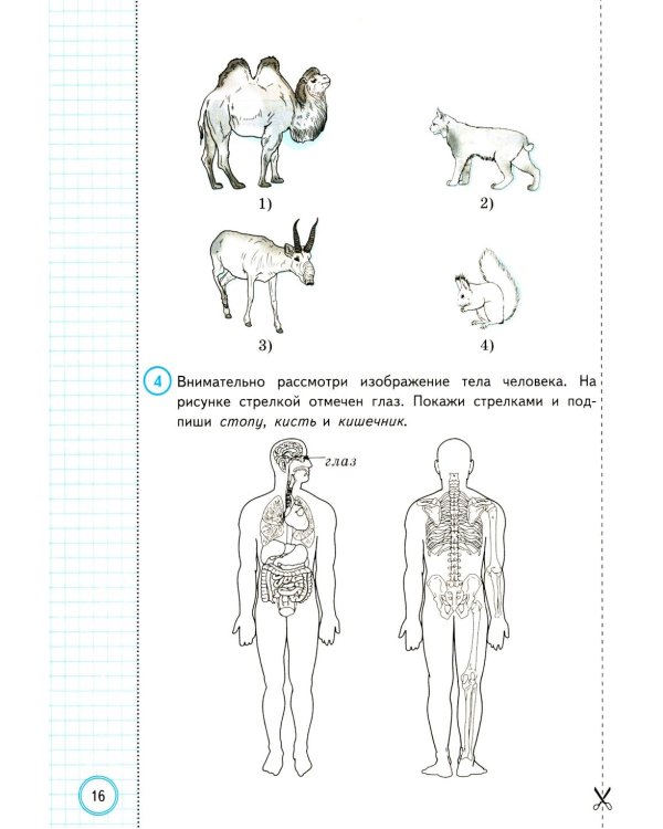 ВПР. Окружающий мир. 4 кл. 10 вариантов. Типовые задания. ФГОС